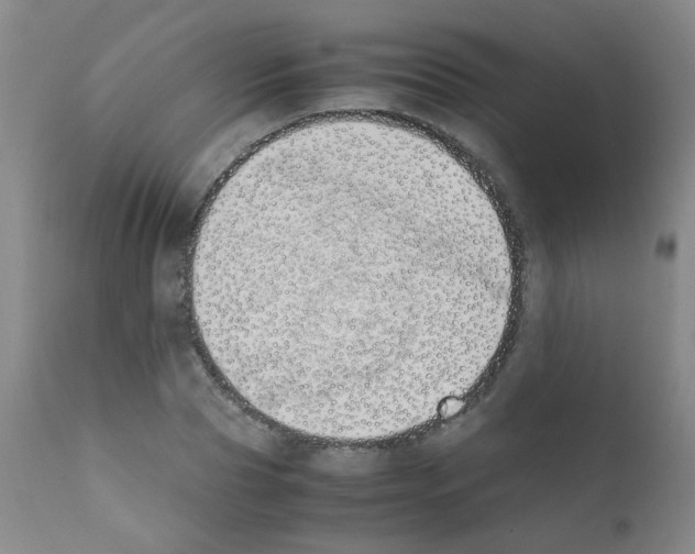 X0000111850929200909031724