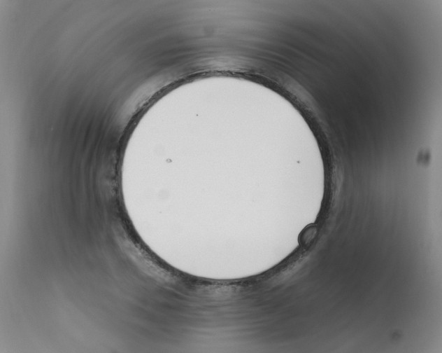 X0000111850930200909031724