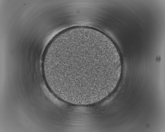 X0000111850932200909031724