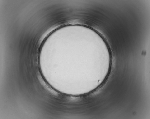 X0000111850933200909031724