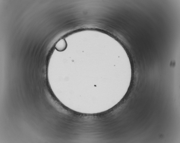 X0000111850934200909031724