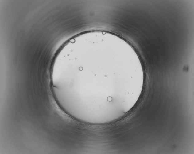 X0000111850936200909031724