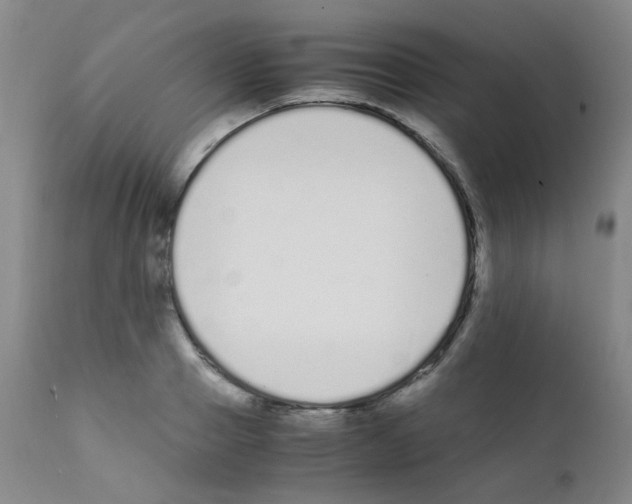 X0000111850937200909031724
