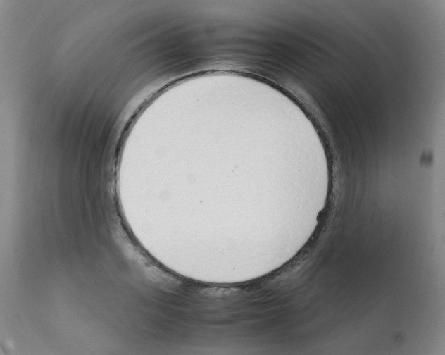 X0000111850939200909031724