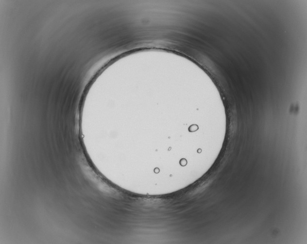 X0000111850940200909031724
