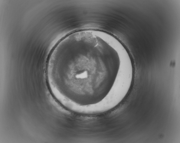 X0000111850941200909031724