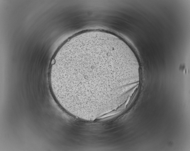 X0000111850943200909031724