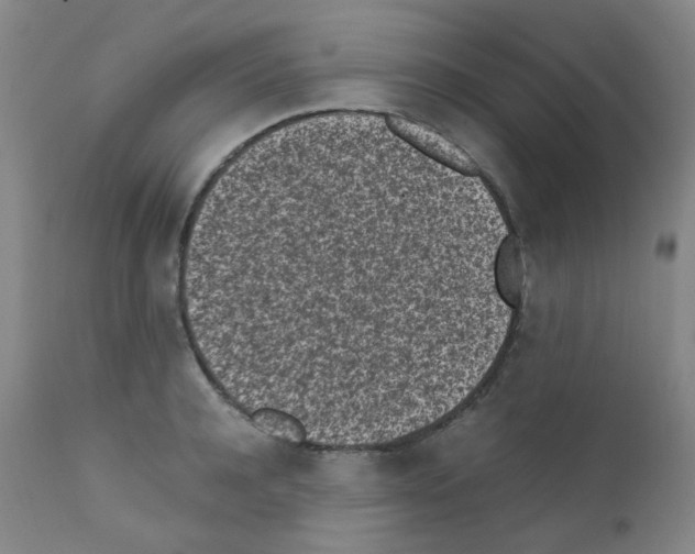 X0000111850944200909031724