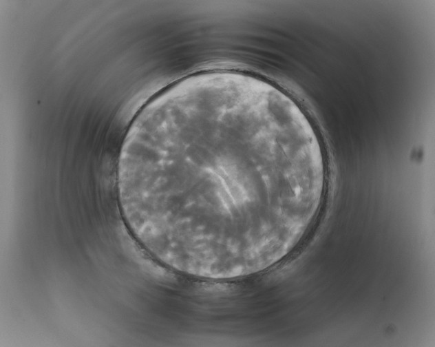 X0000111850945200909031724