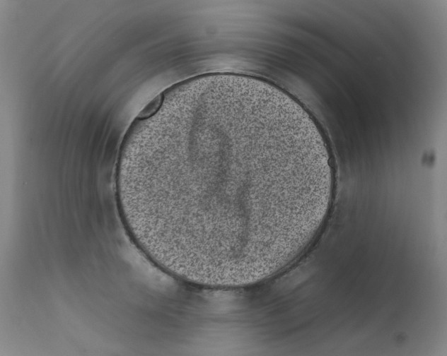 X0000111850946200909031724