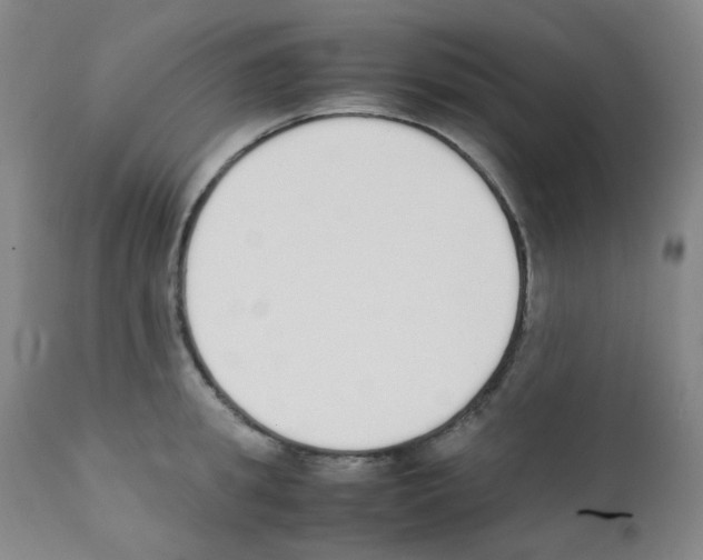 X0000111850949200909031724