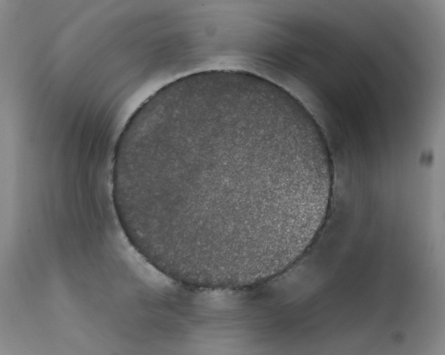 X0000111850950200909031724