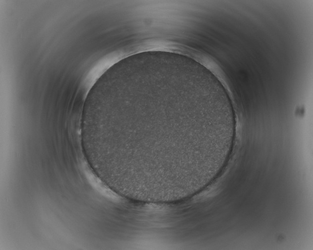 X0000111850954200909031724