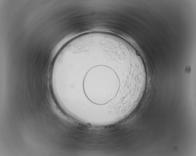 X0000111850955200909031724