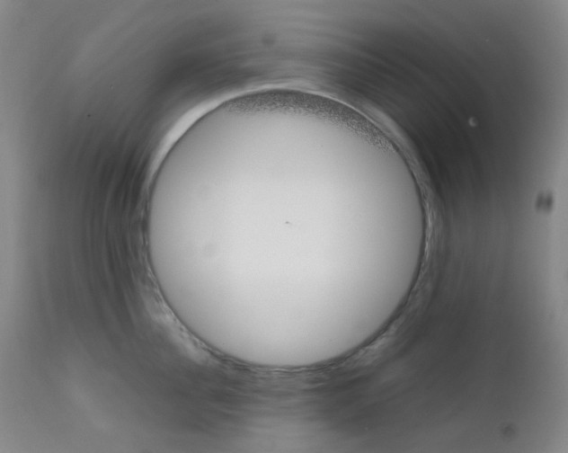 X0000111850956200909031724