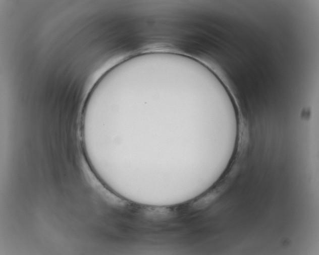 X0000111850957200909031724