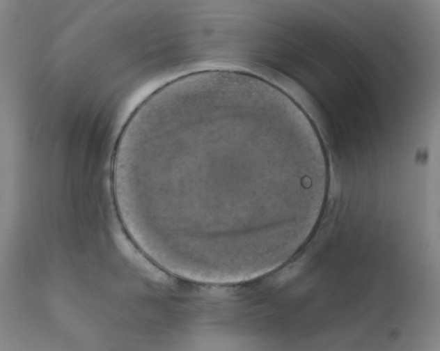X0000111850958200909031724