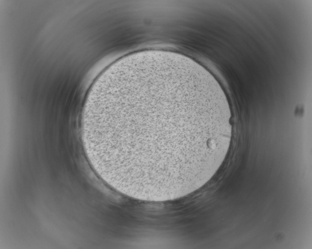 X0000111850959200909031724