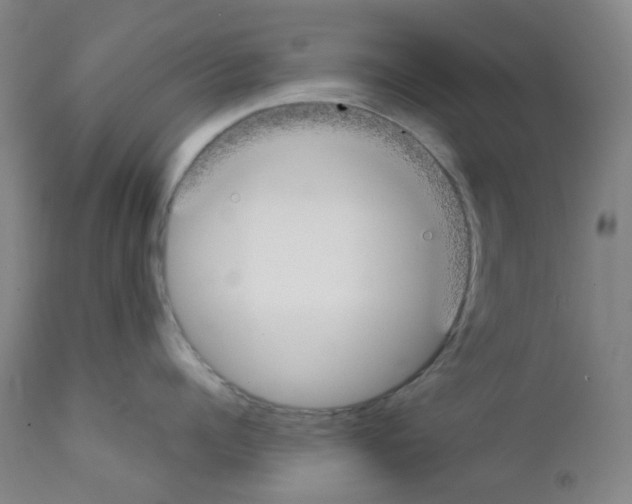 X0000111850960200909031724