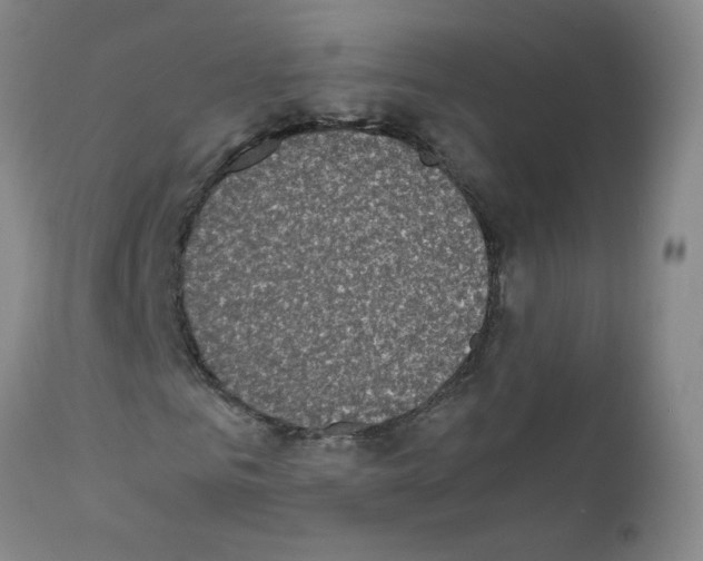 X0000111850961200909031723
