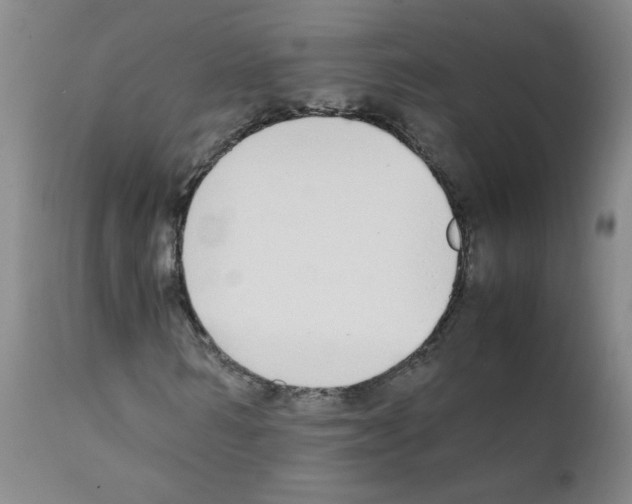 X0000111850962200909031723