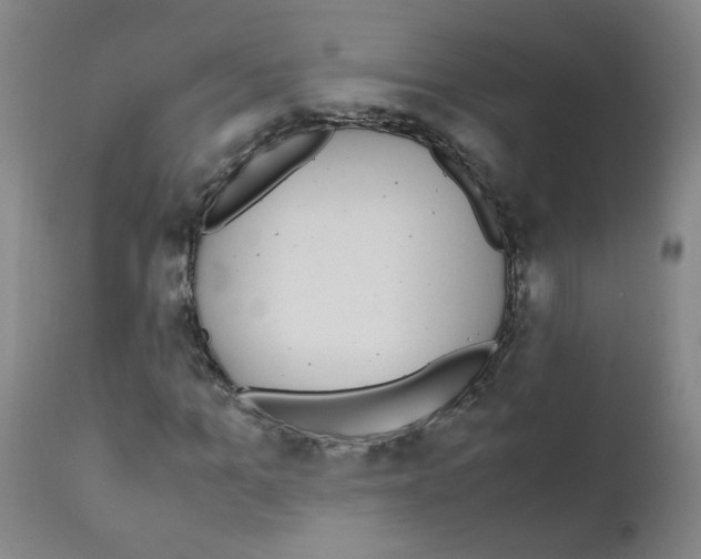 X0000111850965200909031723