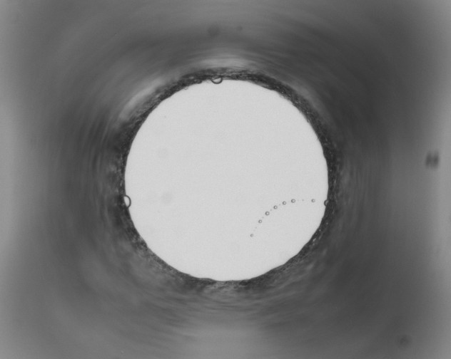 X0000111850967200909031723