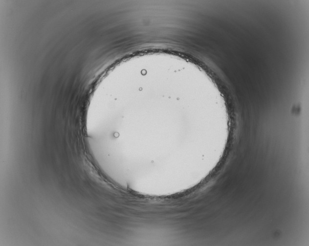 X0000111850969200909031723