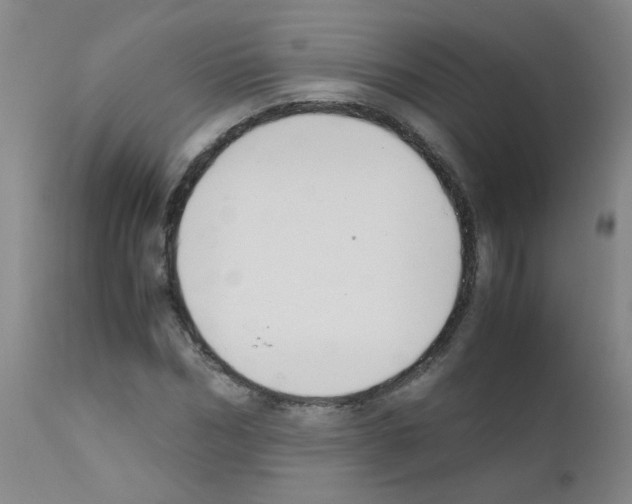 X0000111850970200909031723