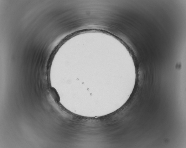 X0000111850972200909031723