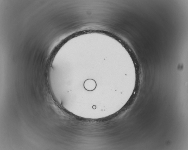 X0000111850973200909031723