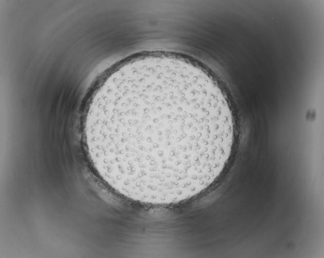 X0000111850974200909031723
