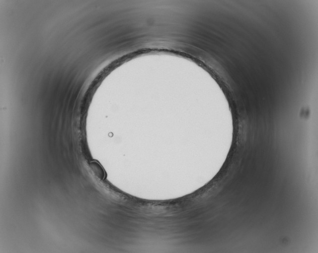 X0000111850976200909031723
