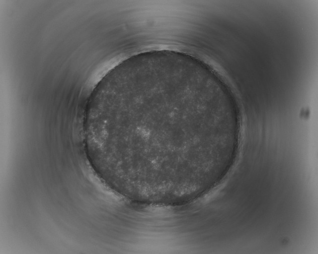 X0000111850977200909031723