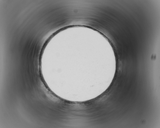 X0000111850980200909031723