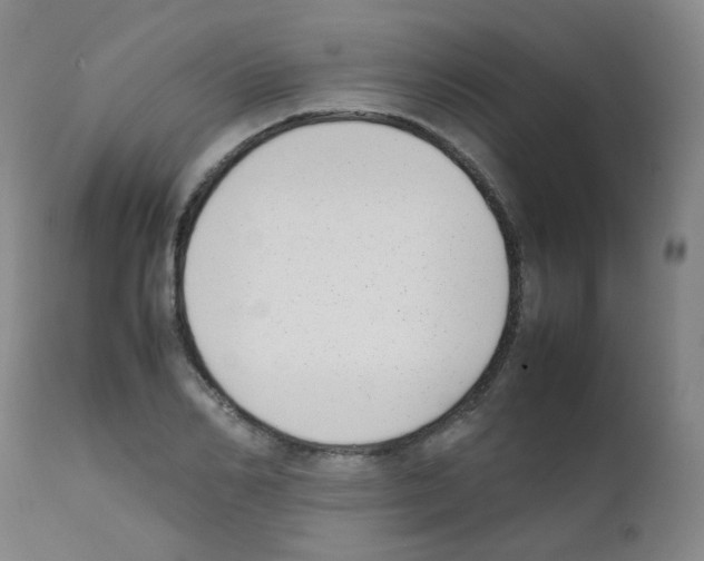 X0000111850982200909031723