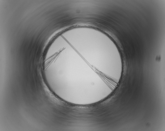 X0000111850984200909031723