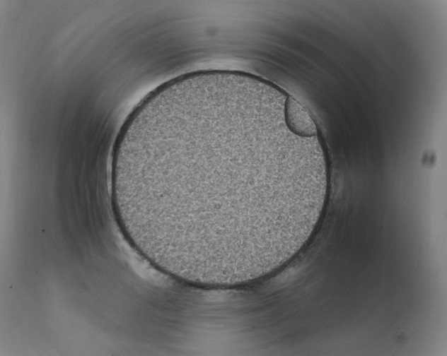 X0000111850988200909031723