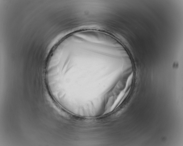 X0000111850989200909031723