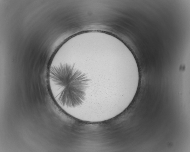 X0000111850990200909031723
