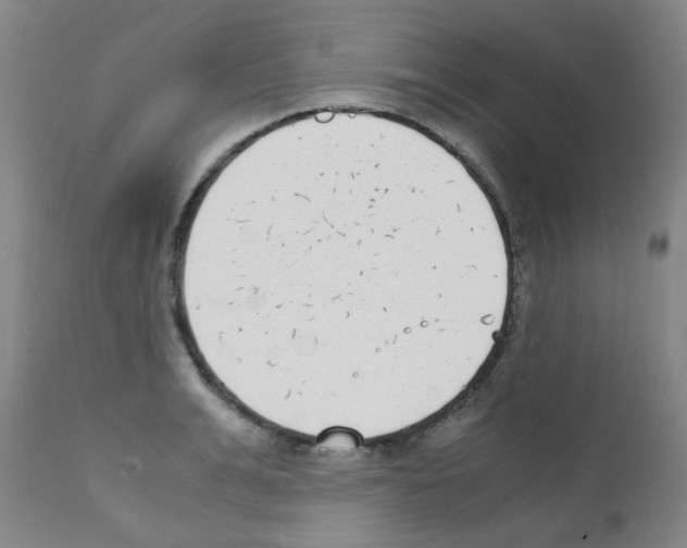 X0000111850991200909031723