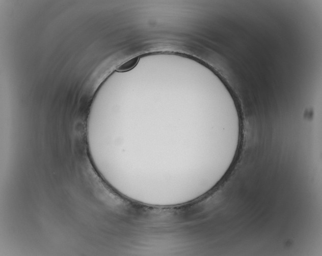 X0000111850993200909031723