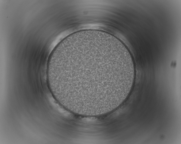X0000111850994200909031723