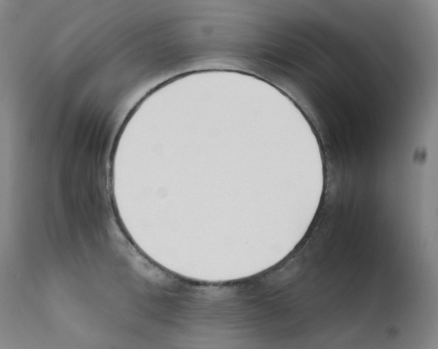 X0000111850996200909031723