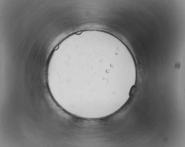 X0000111850997200909031723