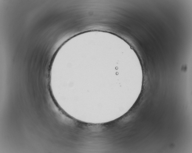 X0000111850999200909031723