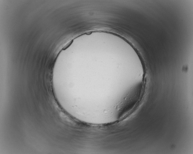 X0000111851001200909031723