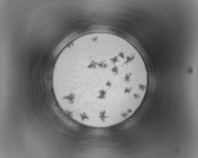 X0000111851002200909031723