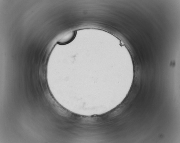 X0000111851004200909031723