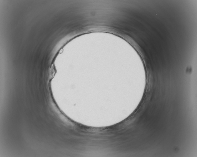 X0000111851005200909031723